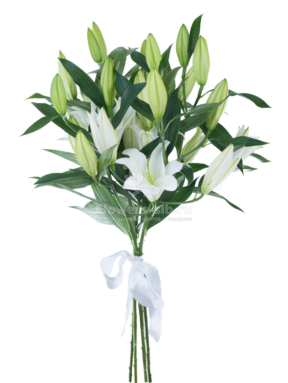 Bouquet of 5 lilies